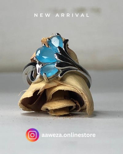 WhatsApp Image 2025-06-28 at 7.20.13 PM (2)